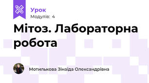 Мітоз. Лабораторна робота