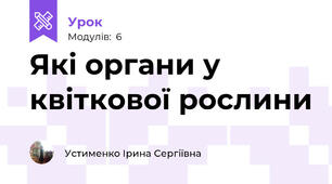 Які органи у квіткової рослини