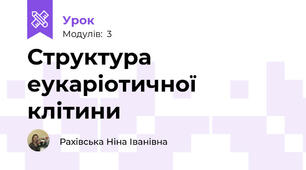 Структура еукаріотичної клітини