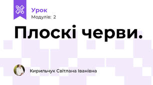  Плоскі черви.