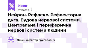Нейрон. Рефлекс. Рефлекторна дуга. Будова нервової системи. Центральна і периферична нервові системи людини