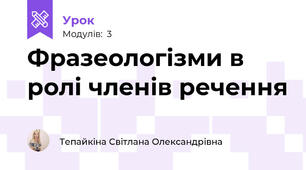 Фразеологізми в ролі членів речення