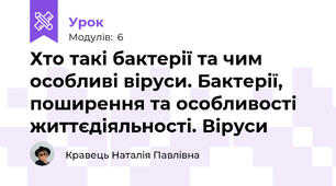 Хто такі бактерії та чим особливі віруси. Бактерії, поширення та особливості життєдіяльності. Віруси