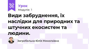 Види забруднення, їх наслідки для природних та штучних екосистем та людини.