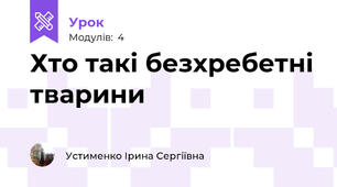 Хто такі безхребетні тварини