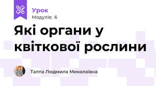 Які органи у квіткової рослини