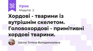 Хордові - тварини із вутрішнім скелетом. Головохордові - примітивні хордові тварини.