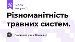 Різноманітність травних систем.