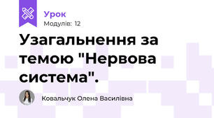  Узагальнення за темою "Нервова система". 