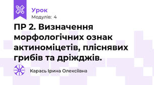 ПР 2. Визначення морфологічних ознак актиноміцетів, пліснявих грибів та дріжджів.