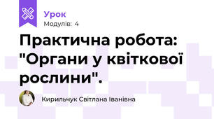 Практична робота: "Органи у квіткової рослини". 