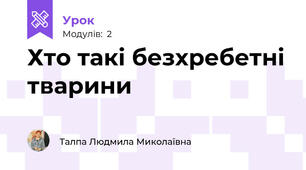 Хто такі безхребетні тварини