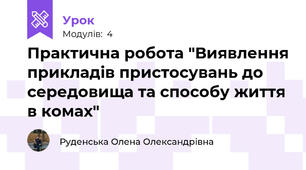 Практична робота "Виявлення прикладів пристосувань до середовища та способу життя в комах"