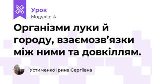 Організми луки й городу, взаємозв’язки між ними та довкіллям.
