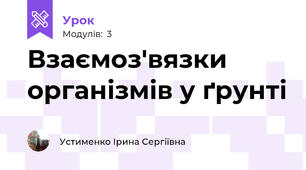 Взаємоз'вязки організмів у ґрунті 