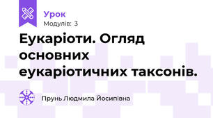 Еукаріоти. Огляд основних еукаріотичних таксонів.