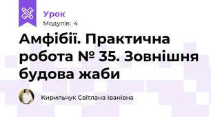  Амфібії. Практична робота № 35. Зовнішня будова жаби
