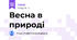 Весна в природі
