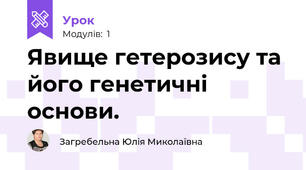 Явище гетерозису та його генетичні основи.