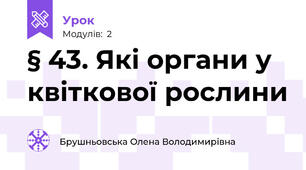 § 43. Які органи у квіткової рослини