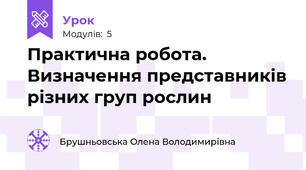 Практична робота. Визначення представників різних груп рослин