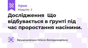 Дослідження  Що відбувається в ґрунті під час проростання насінини.