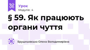 § 59. Як працюють органи чуття