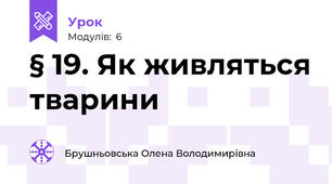 § 19. Як живляться тварини