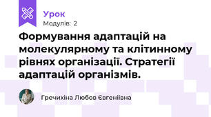 Формування адаптацій на молекулярному та клітинному рівнях організації. Стратегії адаптацій організмів.