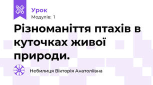 Різноманіття птахів в куточках живої природи.