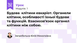 Будова  клітини евкаріот. Органели клітини, особливості їхньої будови та функцій. Взаємозв’язок органел клітини між собою.