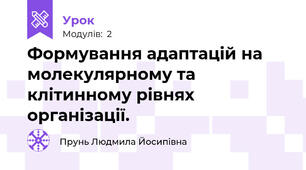 Формування адаптацій на молекулярному та клітинному рівнях організації.