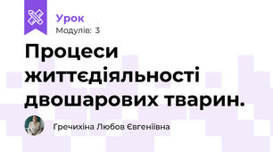 Процеси життєдіяльності двошарових тварин.