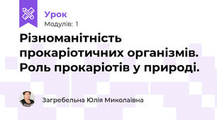 Різноманітність прокаріотичних організмів. Роль прокаріотів у природі.