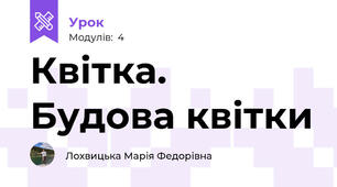 Квітка. Будова квітки