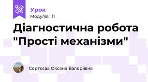 Діагностична робота "Прості механізми"