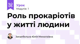Роль прокаріотів у житті людини