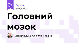 Головний мозок