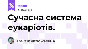 Сучасна система еукаріотів.