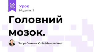 Головний мозок.