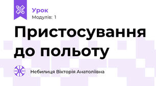 Пристосування до польоту