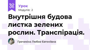 Внутрішня будова листка зелених рослин. Транспірація.