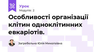 Особливості організації клітин одноклітинних евкаріотів. 