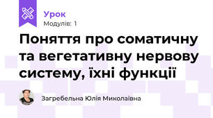 Поняття про соматичну та вегетативну нервову систему, їхні функції