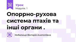 Опоррно-рухова система птахів та інші органи .