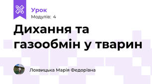 Дихання та газообмін у тварин