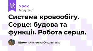 Система кровообігу. Серце: будова та функції. Робота серця.