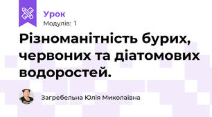 Різноманітність бурих, червоних та діатомових водоростей.