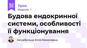 Будова ендокринної системи, особливості її функціонування 
