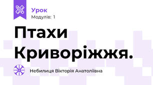 Птахи Криворіжжя.